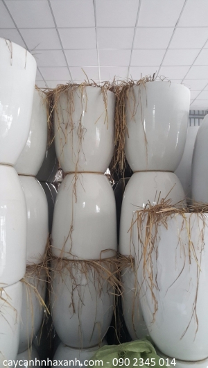 Chậu Gốm Sứ - Lu Sành